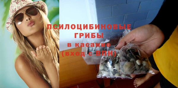 хмурый Бородино