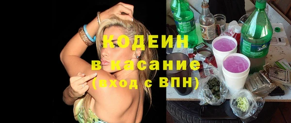 хмурый Бородино