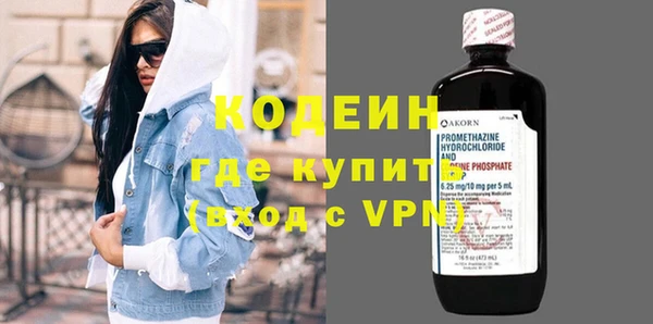 хмурый Бородино