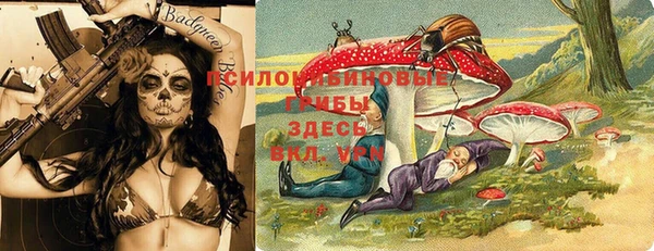 хмурый Бородино