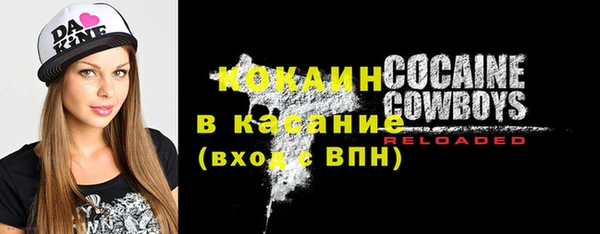 хмурый Бородино