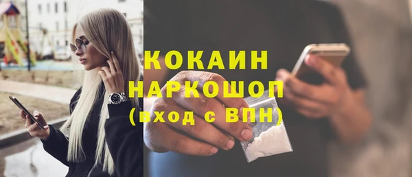 хмурый Бородино