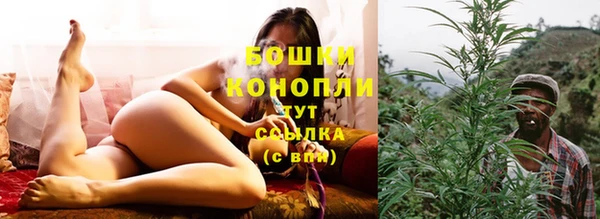хмурый Бородино