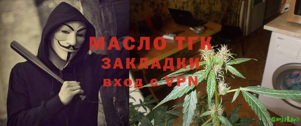 хмурый Бородино